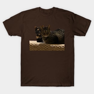 Copy Cats T-Shirt